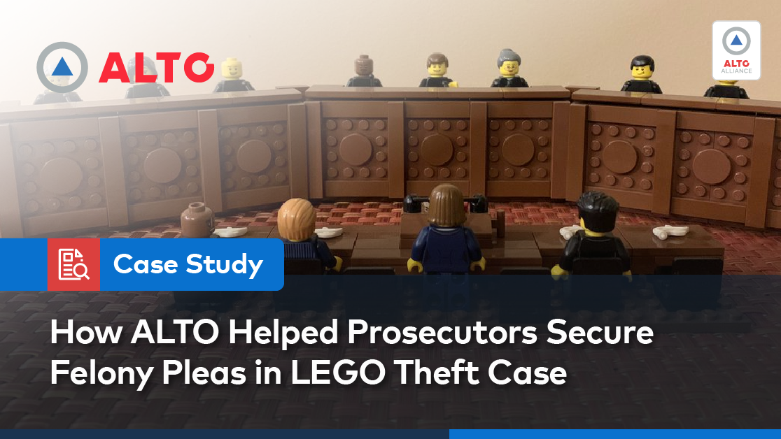 Lego Thief Theft Case